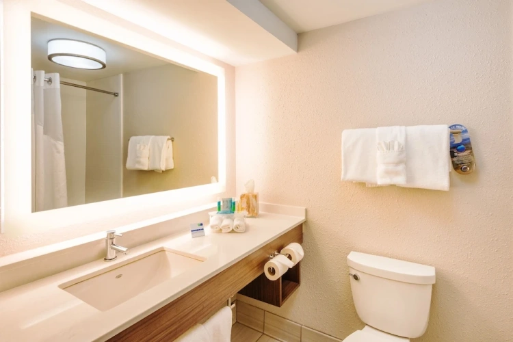 1 Bedroom Suite