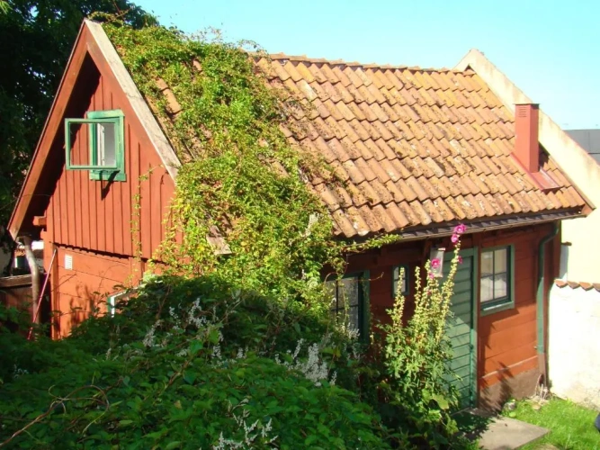 Cottage