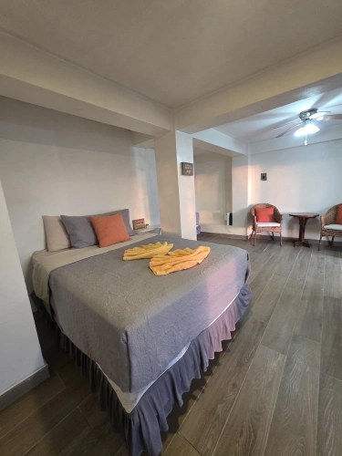 Deluxe Double room with ocean view