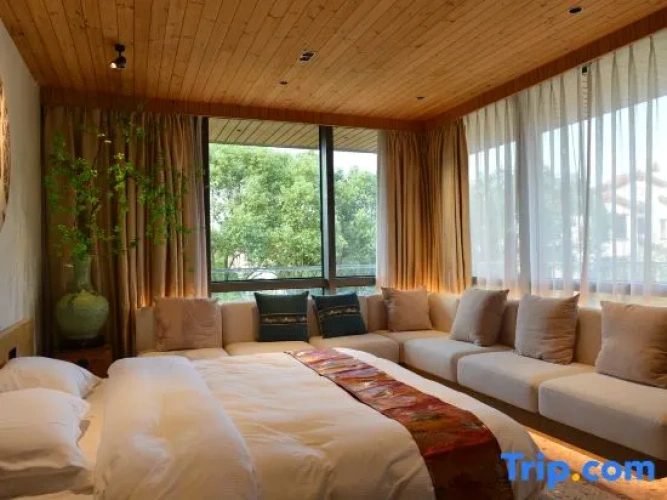 Comfort Suite