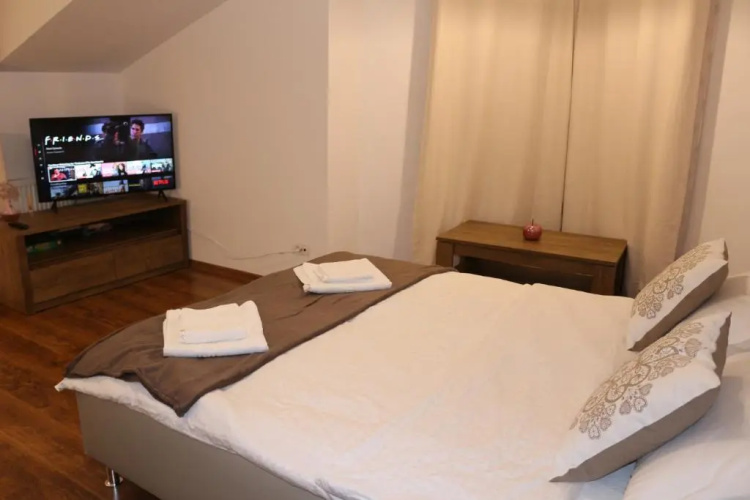 Timisoara City Apartments
