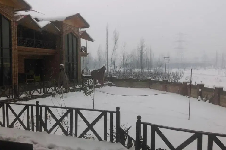 Cedrus By Evoke Resort