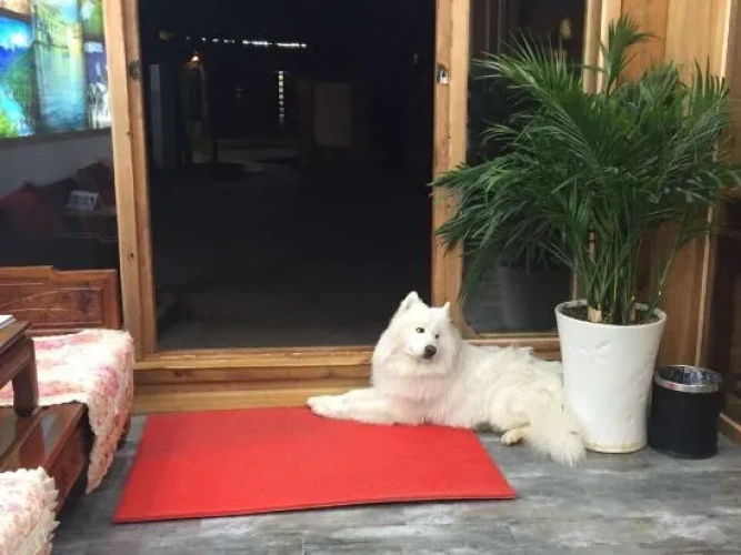 Outside
