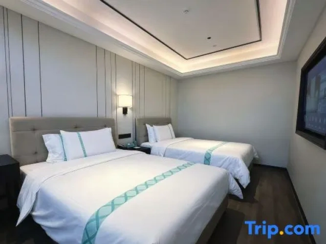 1 Bedroom Standard Suite