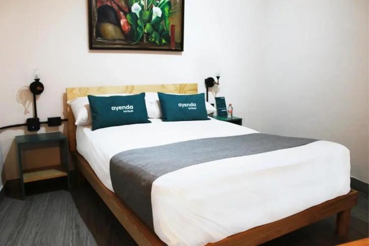 Standard Double Suite