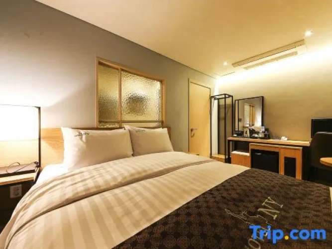 Standard Double room with city view