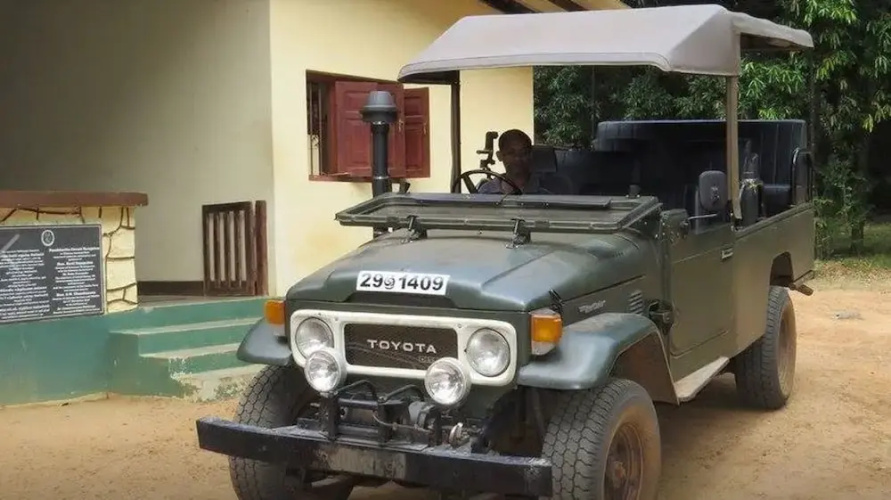 Ceylon Wild Safaris