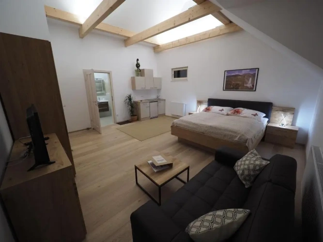 Standard Double room with mountain view