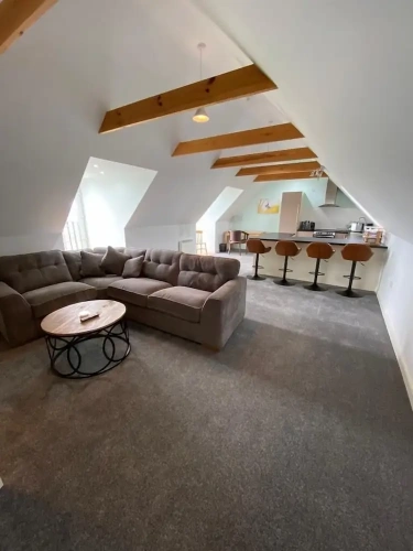 Standard Penthouse room