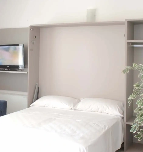 1 Bedroom Standard Apartment