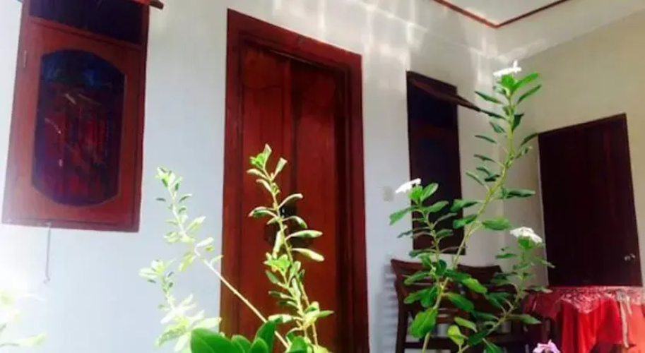 Lily Amed Beach Bungalows
