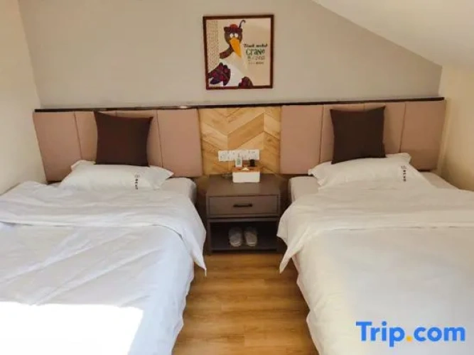 Standard Duplex room