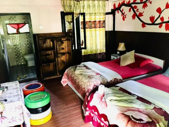 Safari Wildlife Lodge & Camp