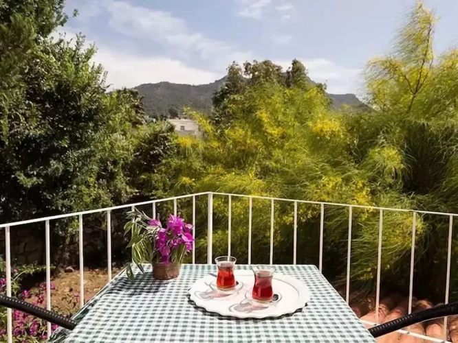 Standard Double room with balcony and with view