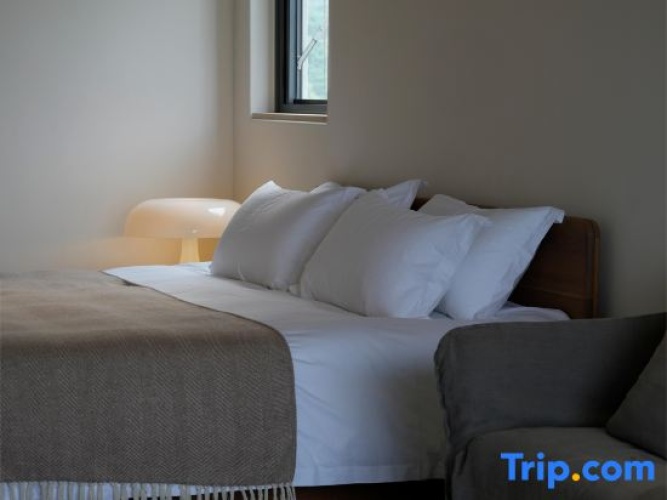Standard Double room with lake view
