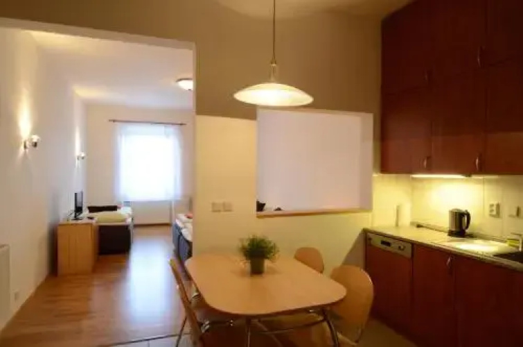 Golden Karlín Apartment