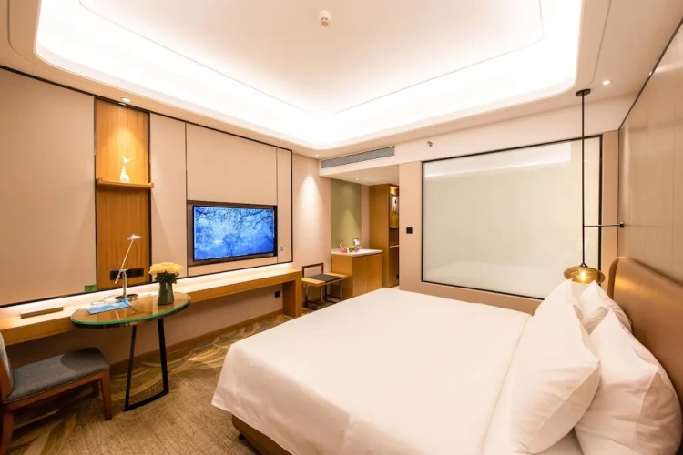 Executive Single room with city view