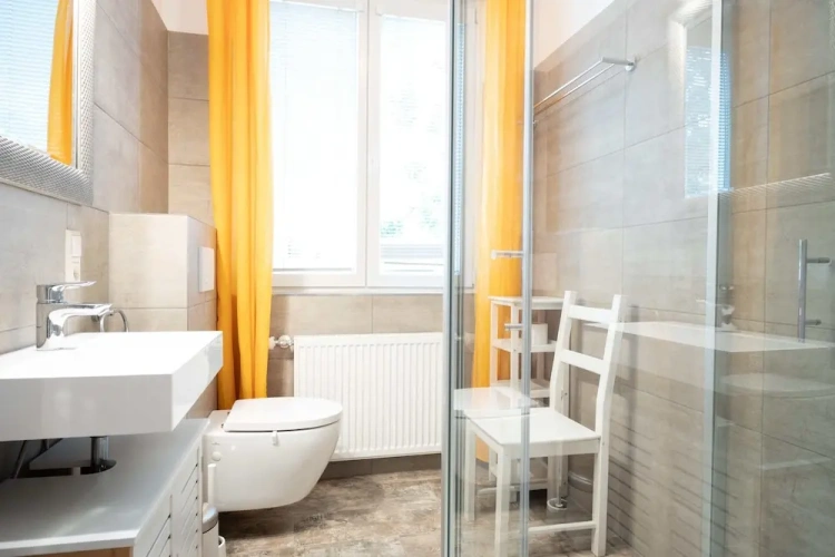 Deluxe Apartment with city view