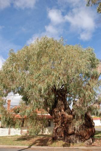 Country Charm CottagesOver view