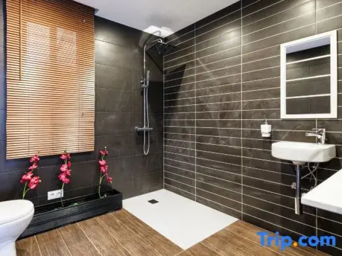 Apartment Gran Via