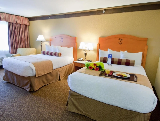 Standard Quadruple room