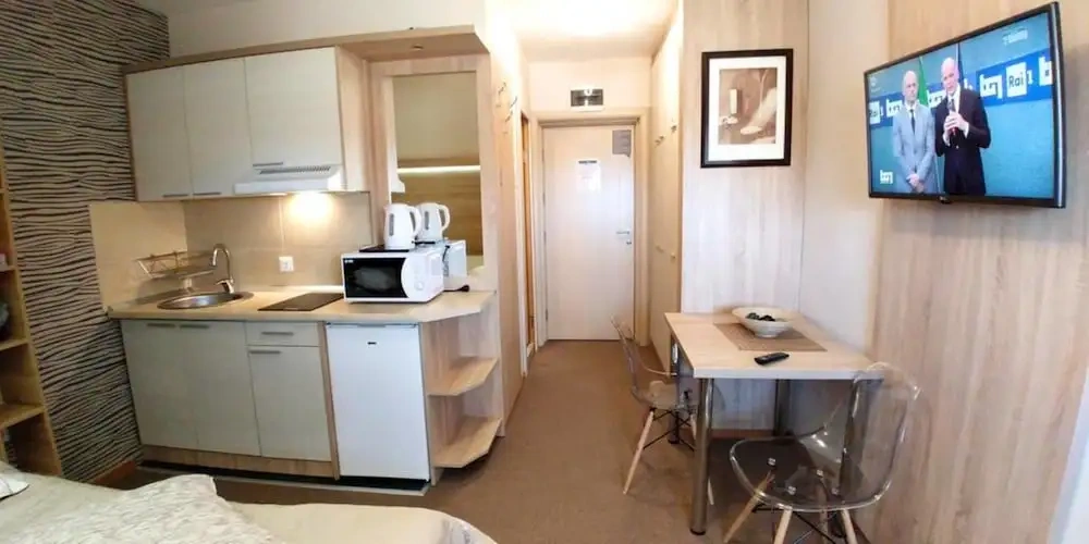 Comfort Double Studio with mountain view