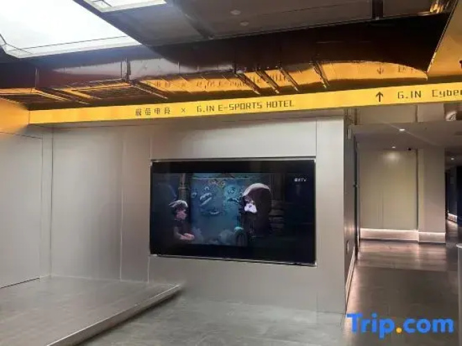 Shijia E-sports Hotel