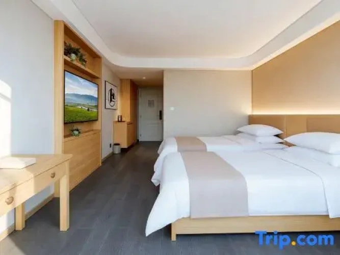 Comfort Twin room