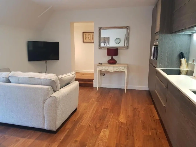 Deluxe Apartment