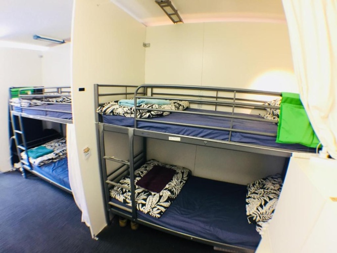 Bed in Dorm