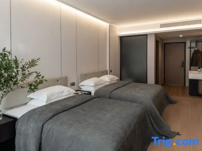 Deluxe Twin Family room