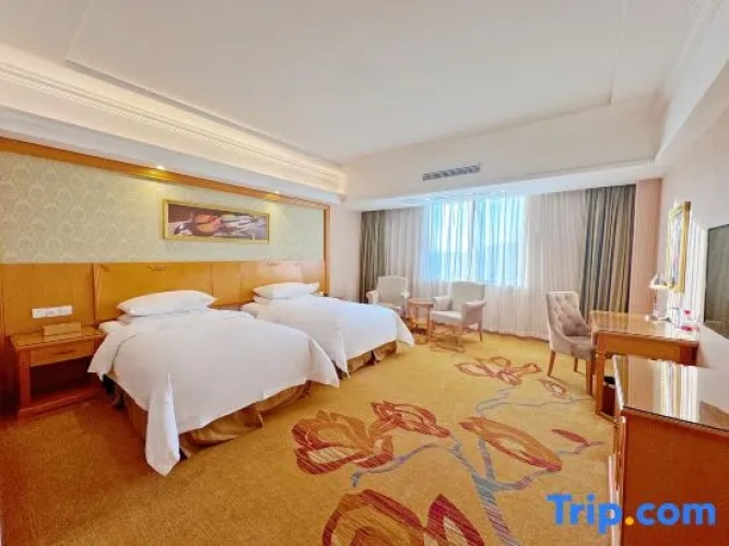 Standard Triple Family Suite