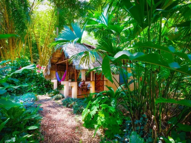 Bungalow with view
