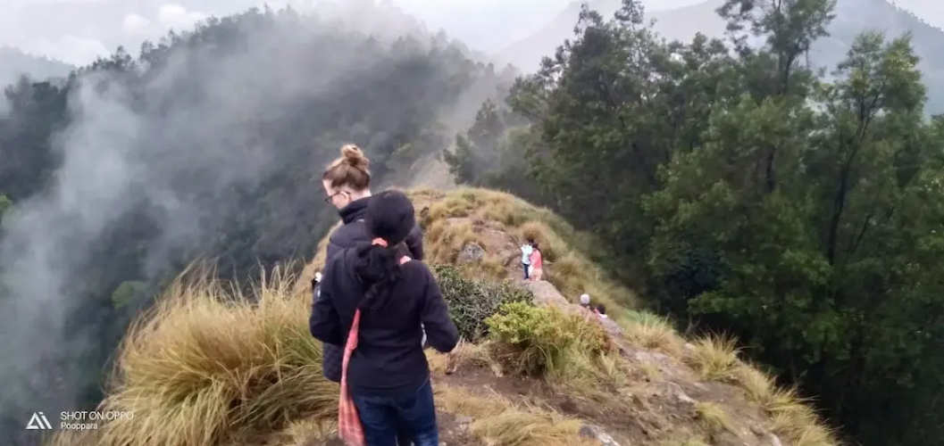 Munnar Jungle Camp