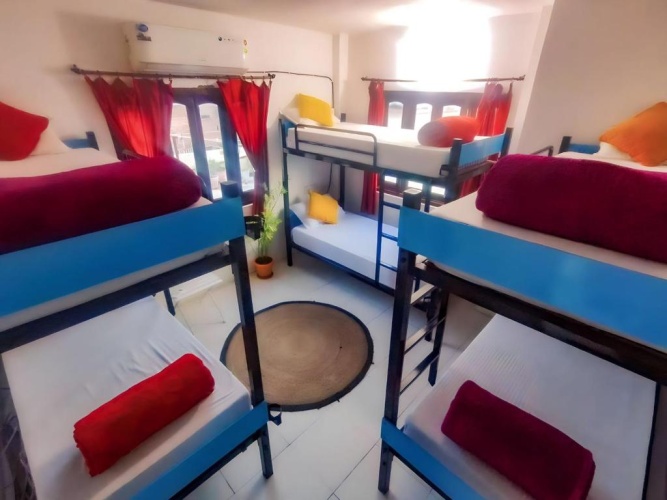 Bed in Dorm