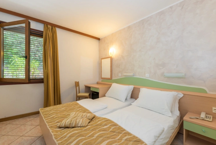 Economy Double room with street view