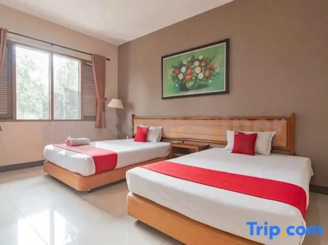 Twin Suite