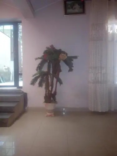 Hotel Baoba 2