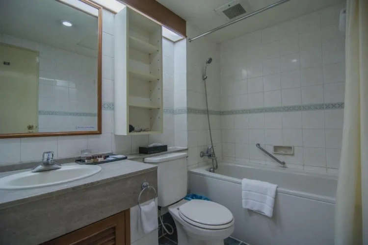1 Bedroom Premier Apartment