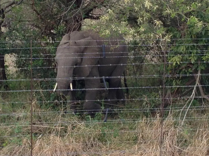 Villa Too Kruger Lodge