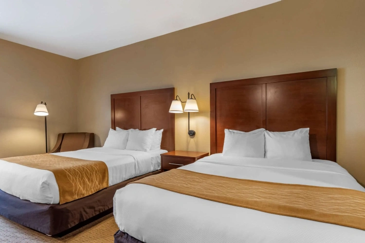 Standard Quadruple room