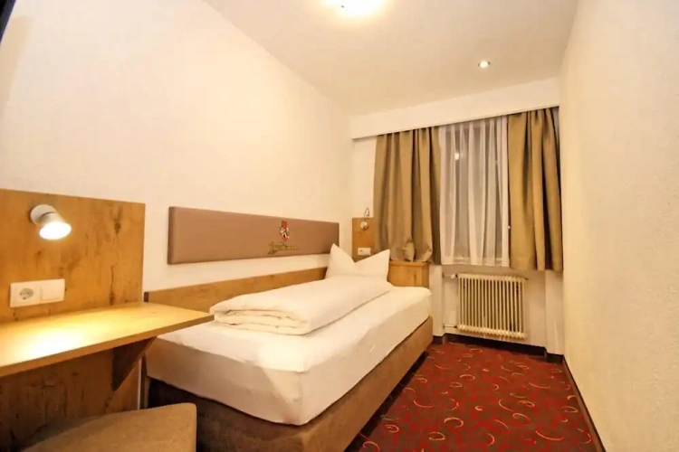Standard Single room with balcony and with mountain view