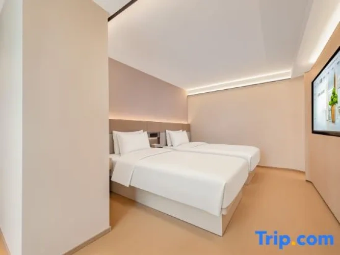 Twin Suite