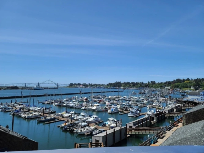 Deluxe Double room with bay view