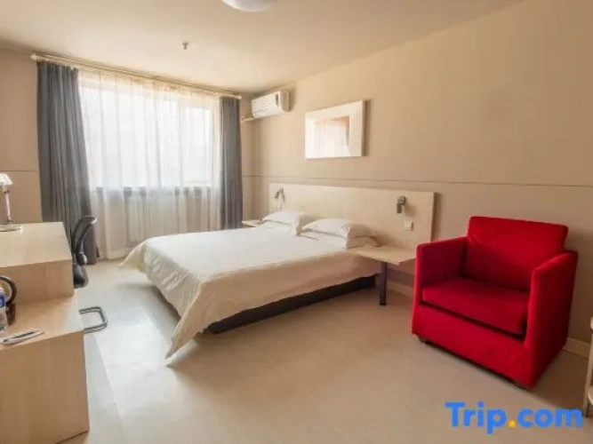 Standard Suite