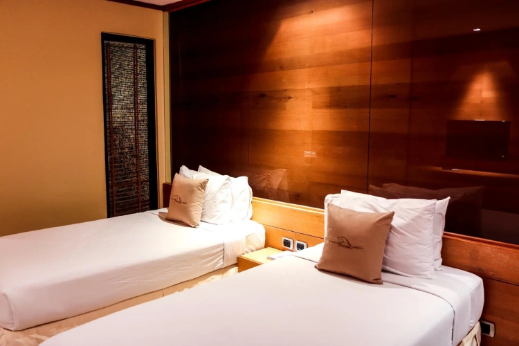 Deluxe Twin room with lake view