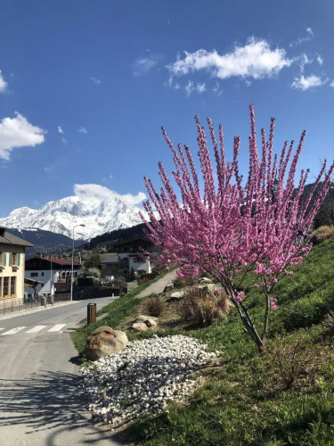 Le Floralp