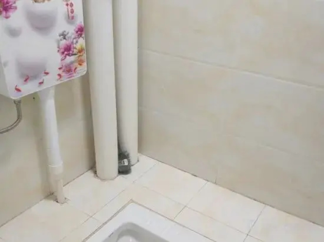 Nanning Xiyangyang B&B