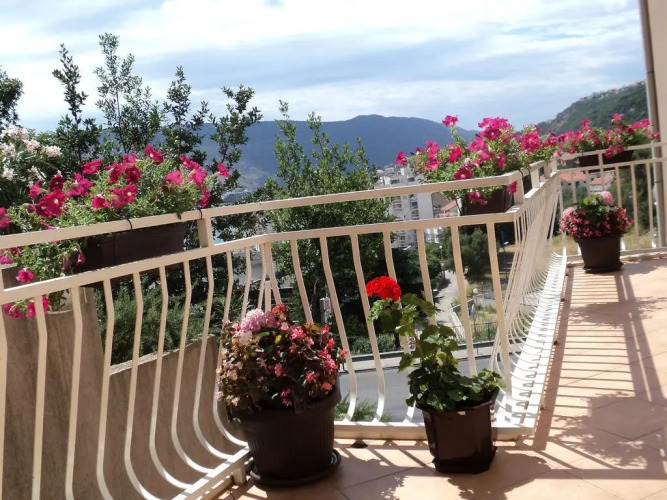 MediteranOver view