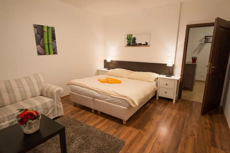 1 Bedroom Apartment with balcony